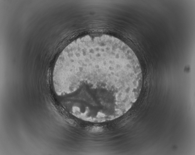 X0000115180647200912091048