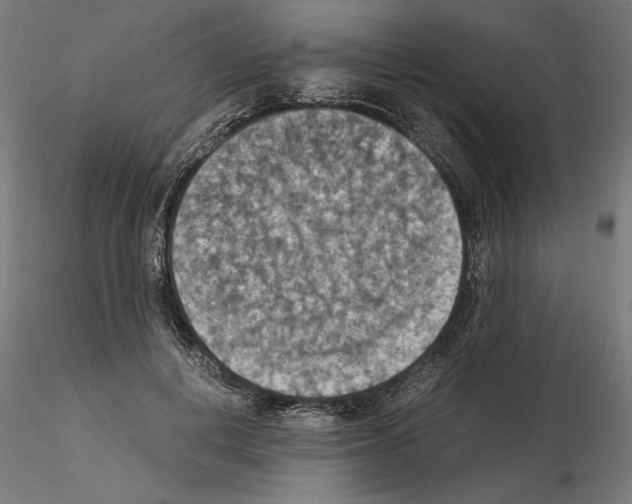 X0000115180648200912091048