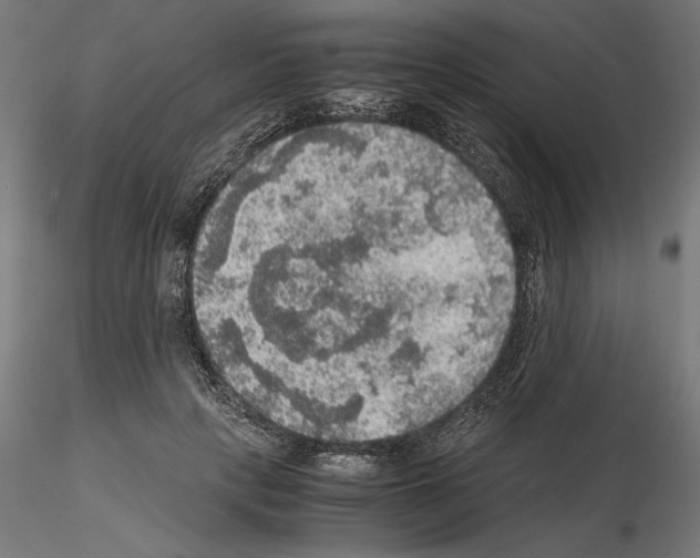 X0000115180649200912091048