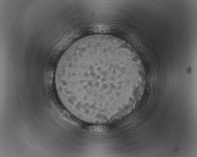 X0000115180652200912091048