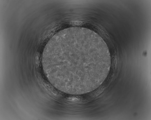 X0000115180655200912091048