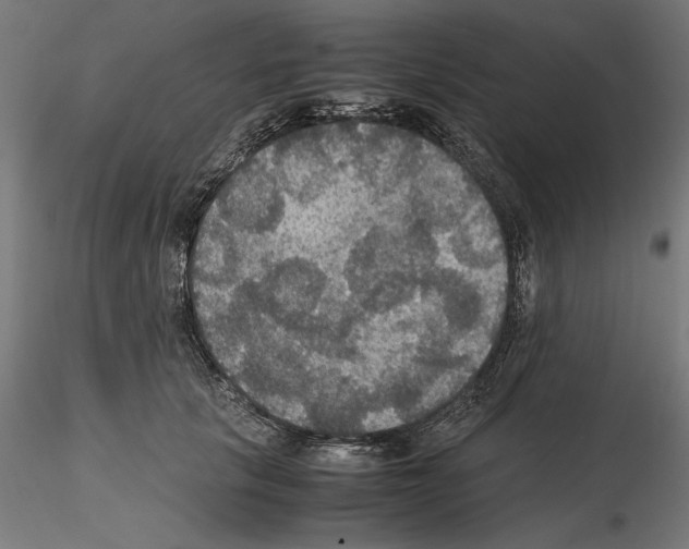 X0000115180657200912091048