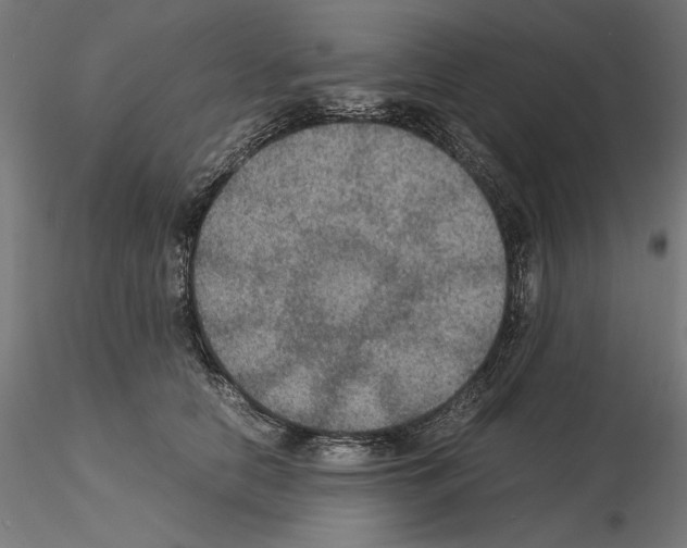 X0000115180658200912091048