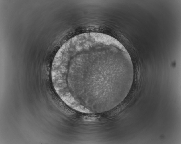 X0000115180661200912091048