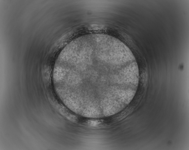 X0000115180662200912091048