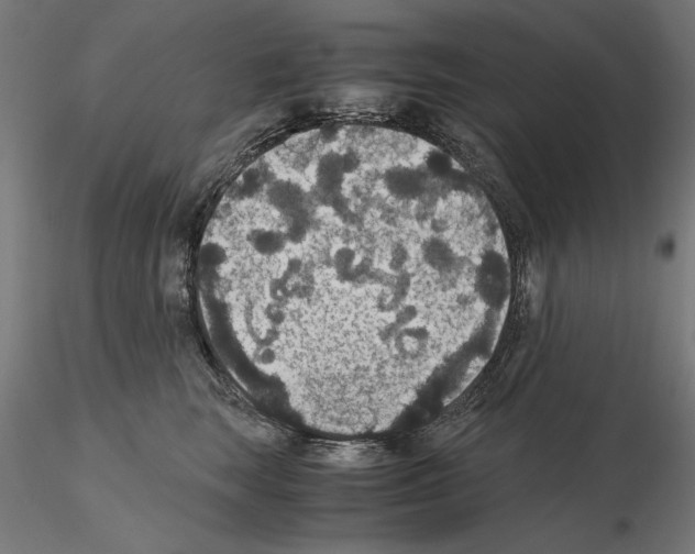 X0000115180663200912091048