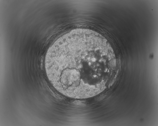 X0000115180664200912091048