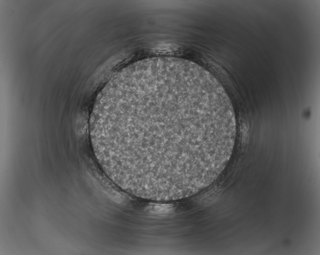 X0000115180665200912091048