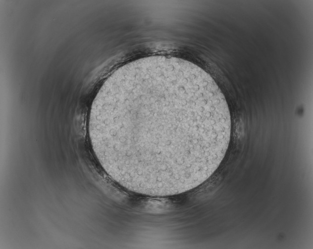 X0000115180666200912091048