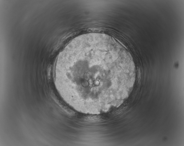 X0000115180668200912091048