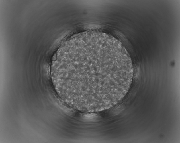 X0000115180669200912091048