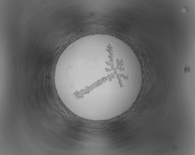 X0000115180672200912091048