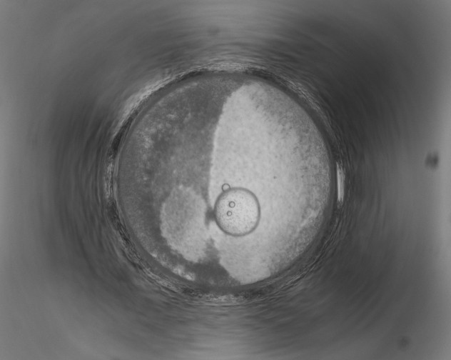 X0000115180675200912091048