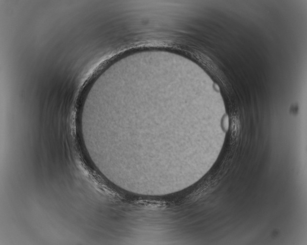 X0000115180676200912091048