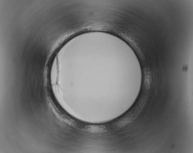 X0000115180678200912091048