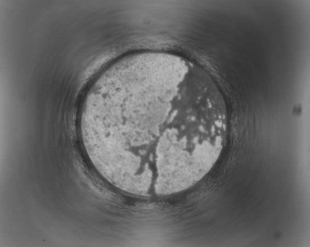 X0000115180679200912091048