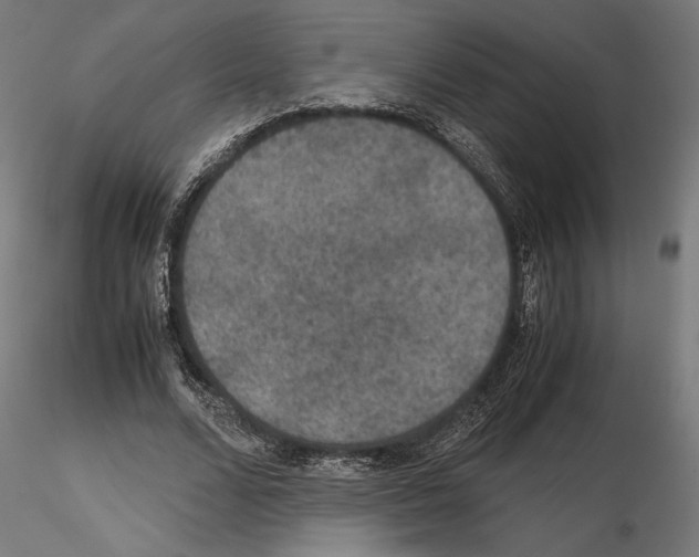 X0000115180680200912091048