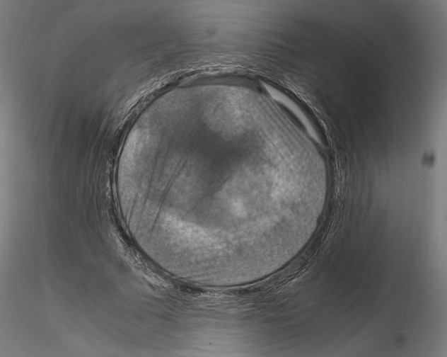 X0000115180681200912091047