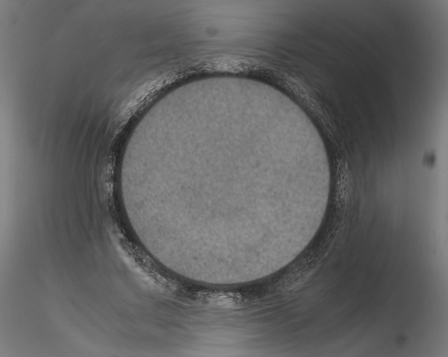 X0000115180683200912091047