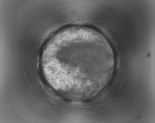 X0000115180685200912091047