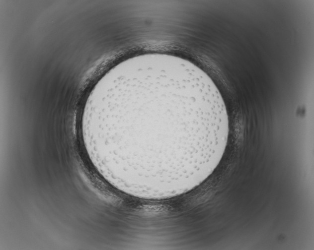 X0000115180686200912091047