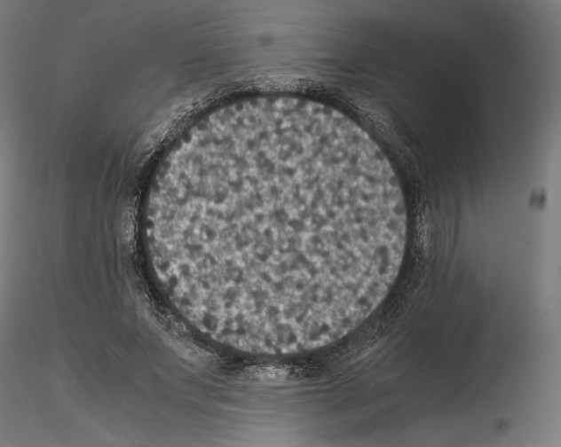 X0000115180687200912091047