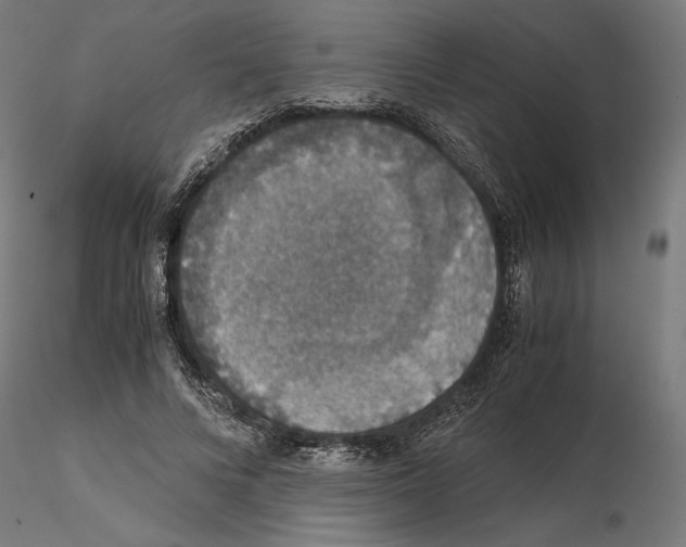 X0000115180688200912091047