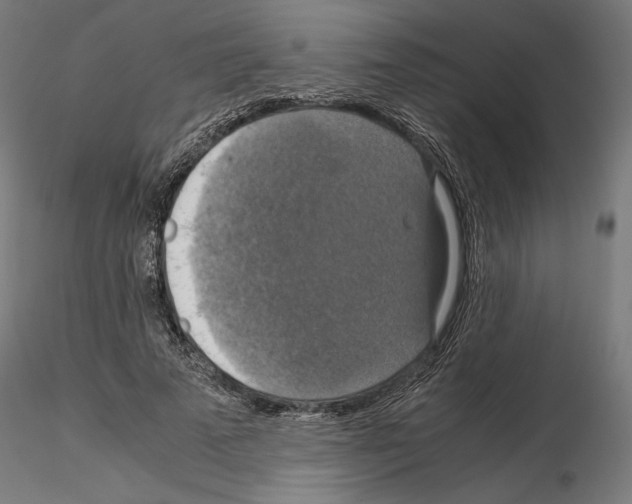 X0000115180689200912091047