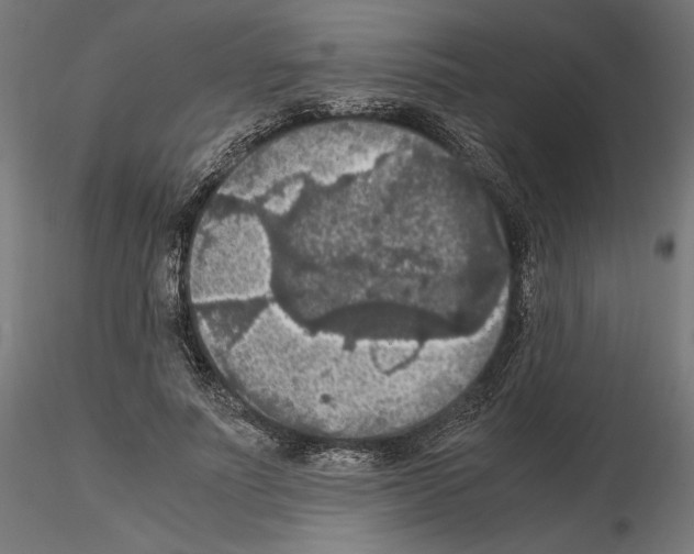 X0000115180691200912091047