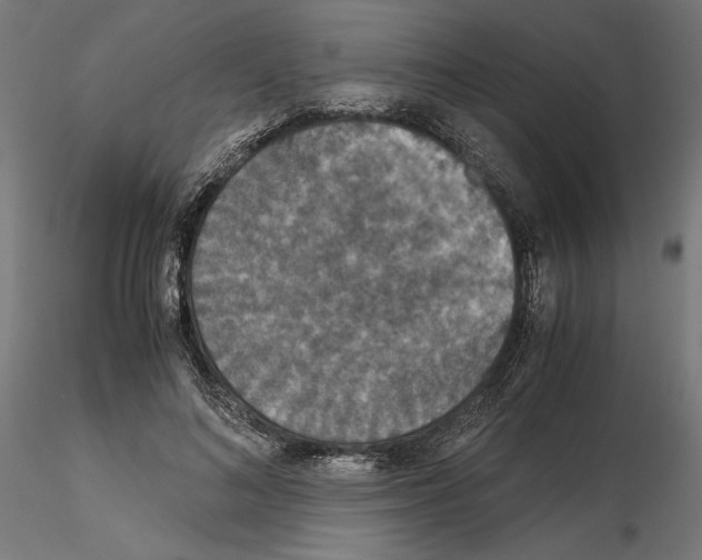 X0000115180692200912091047