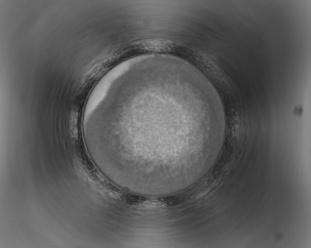 X0000115180696200912091047