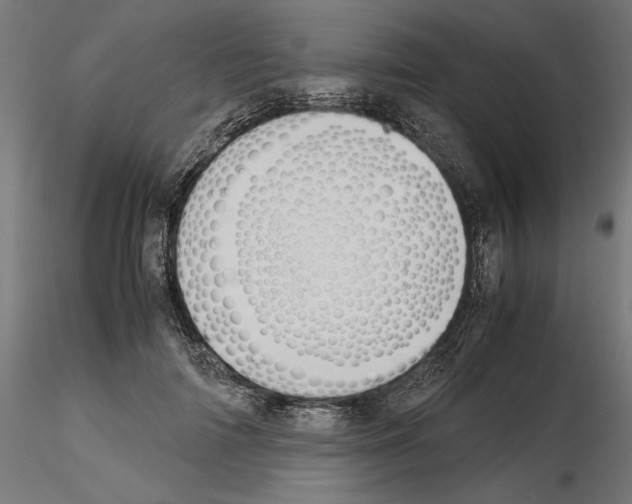 X0000115180698200912091047