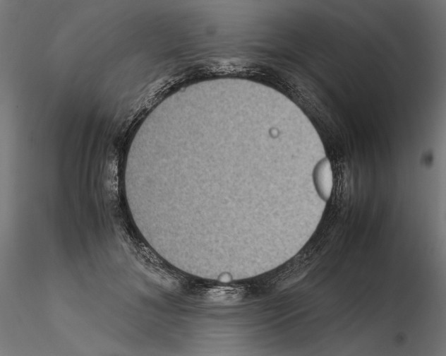 X0000115180700200912091047