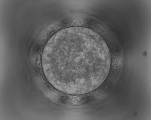 X0000115180701200912091047