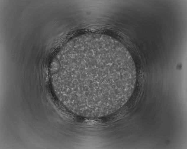 X0000115180703200912091047