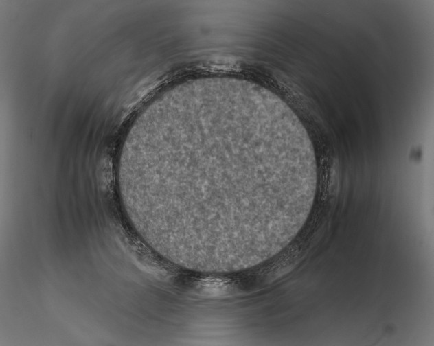 X0000115180704200912091047