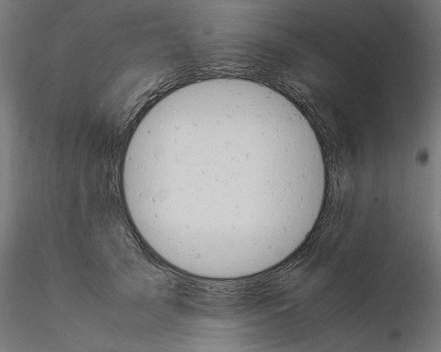 X0000115180705200912091047