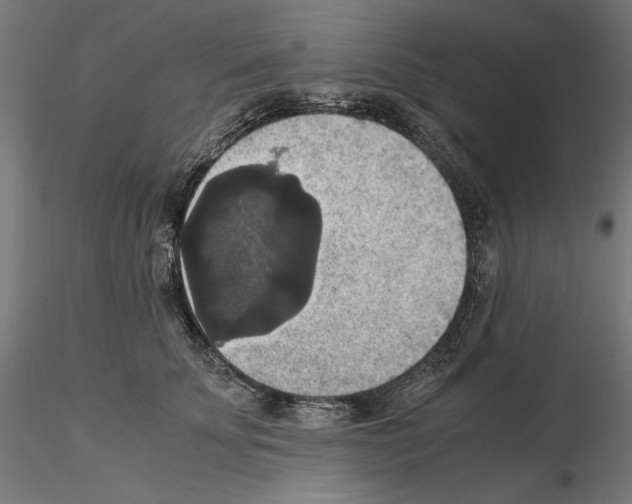 X0000115180707200912091047