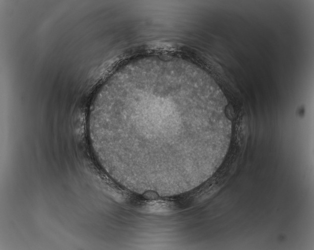 X0000115180708200912091047