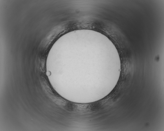 X0000115180709200912091047