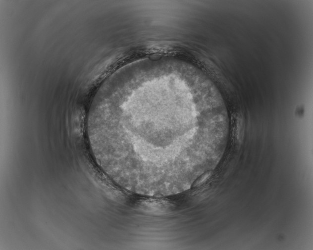 X0000115180712200912091047