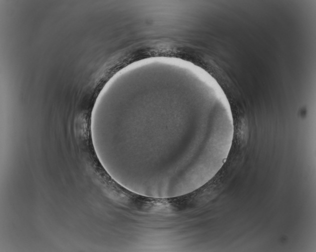 X0000115180715200912091047