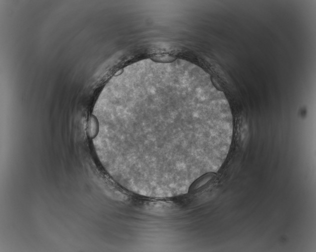 X0000115180716200912091047