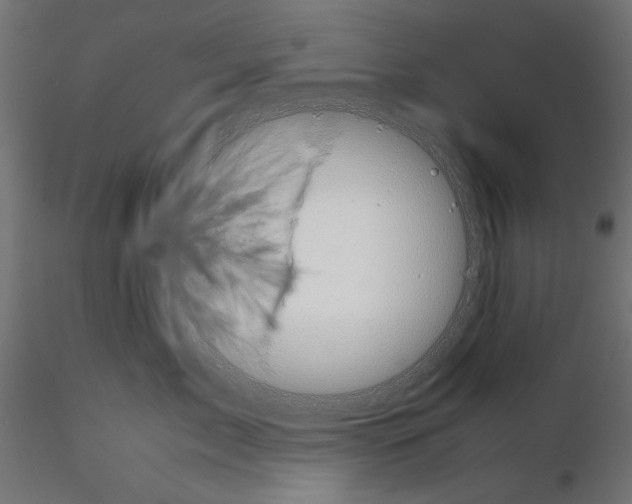 X0000115180717200912091047