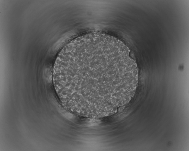 X0000115180719200912091047