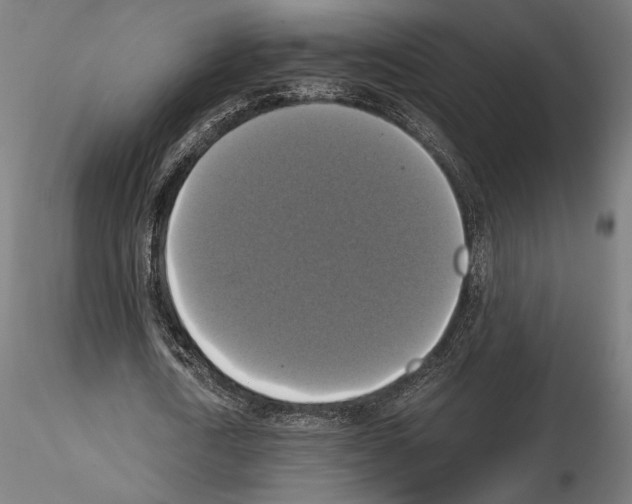 X0000115180722200912091046