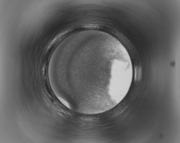 X0000115180723200912091046