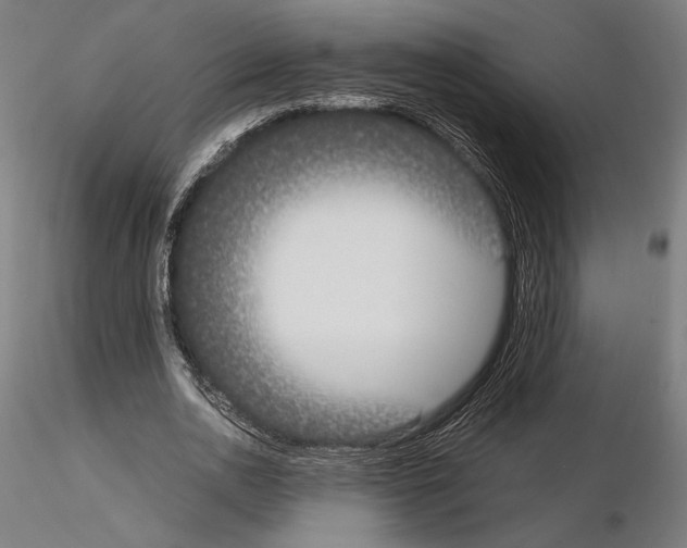 X0000115180726200912091046