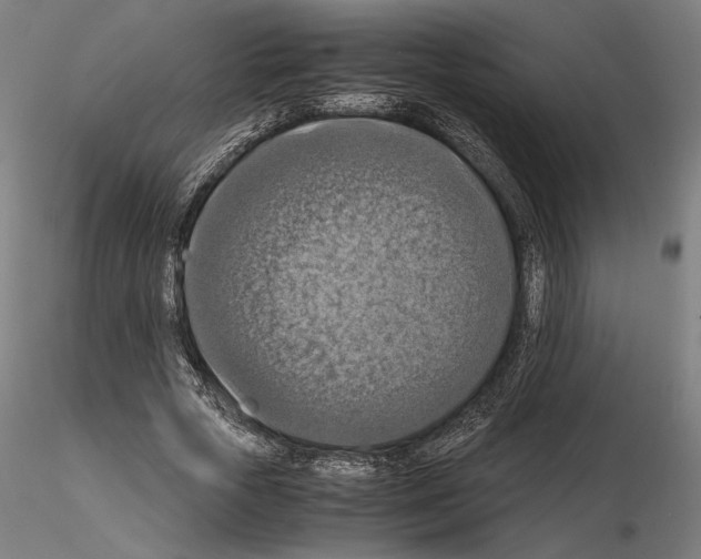 X0000115180729200912091046