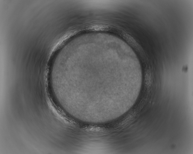 X0000115180730200912091046